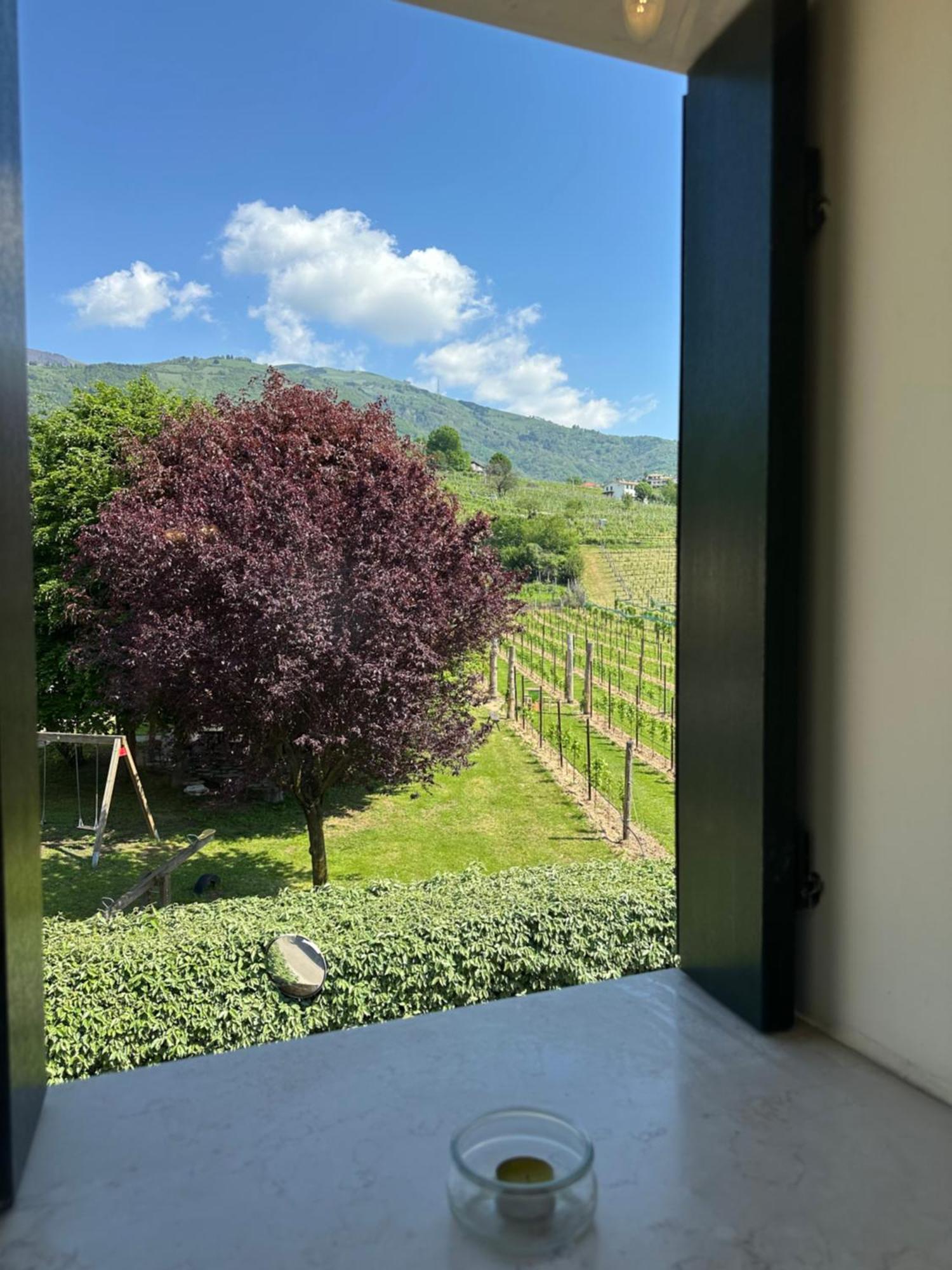 Casa Vacanze Ricca Vigna Valdobbiadene Exterior foto